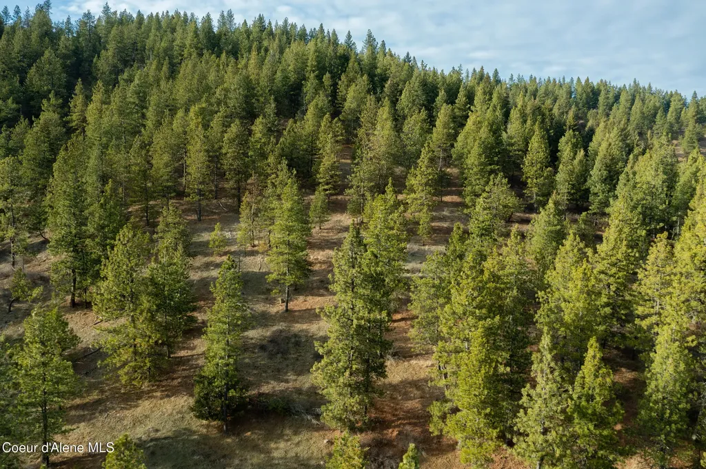 Nka 15 Acres Worley ID 83876