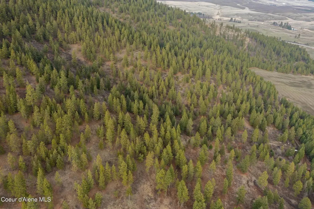 Nka 15 Acres Worley ID 83876
