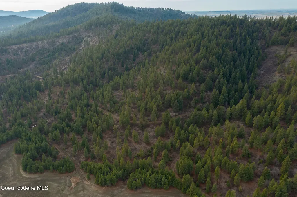 Nka 15 Acres Worley ID 83876