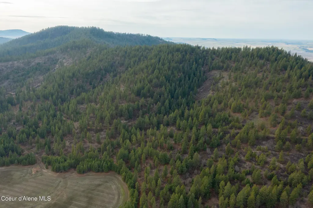 Nka 15 Acres Worley ID 83876