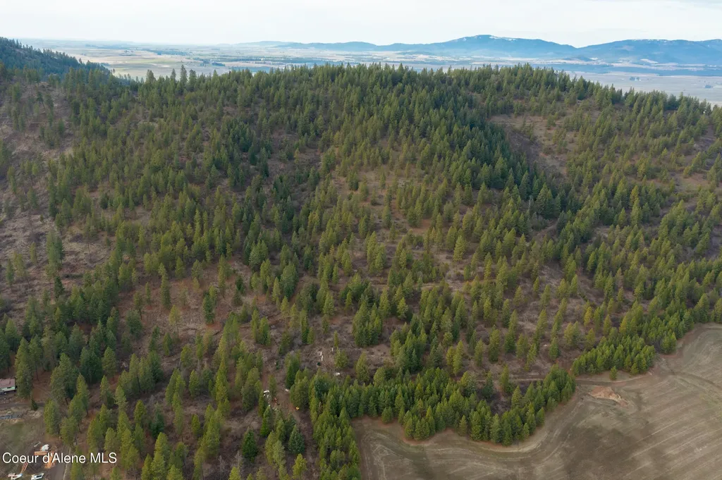 Nka 15 Acres Worley ID 83876