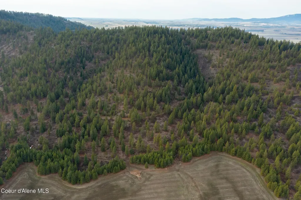 Nka 15 Acres Worley ID 83876