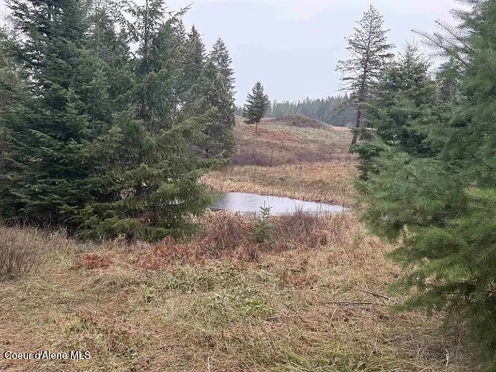 1653 Kidder Ridge Road Kamiah ID 83536
