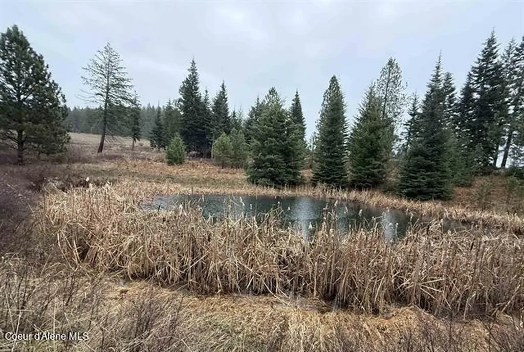1653 Kidder Ridge Road Kamiah ID 83536