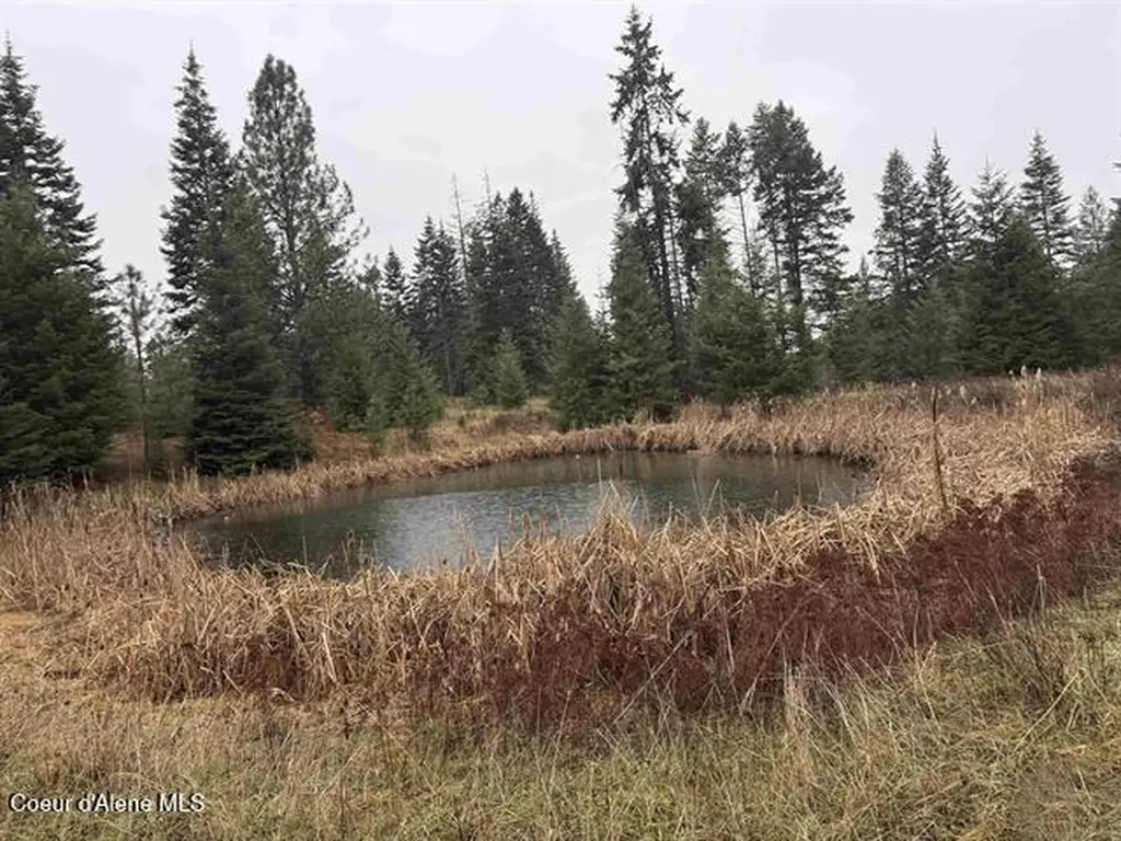 1653 Kidder Ridge Road Kamiah ID 83536