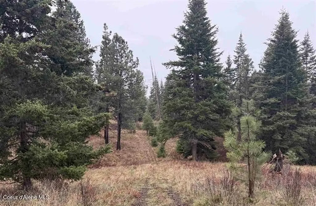 1653 Kidder Ridge Road Kamiah ID 83536