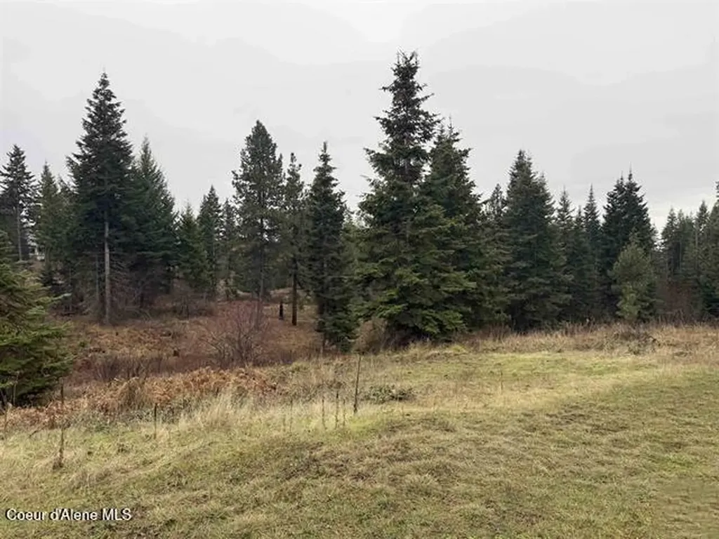 1653 Kidder Ridge Road Kamiah ID 83536