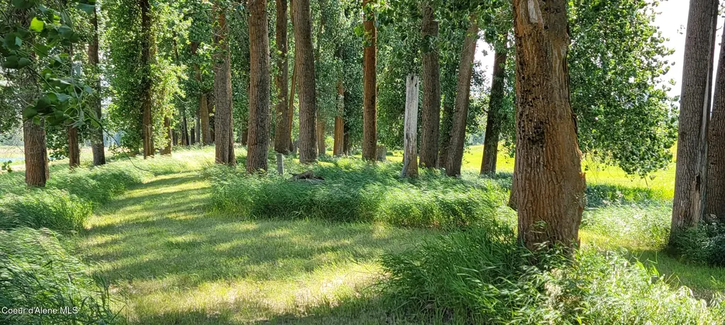 1168 Shire Lane Bonners Ferry ID 83805