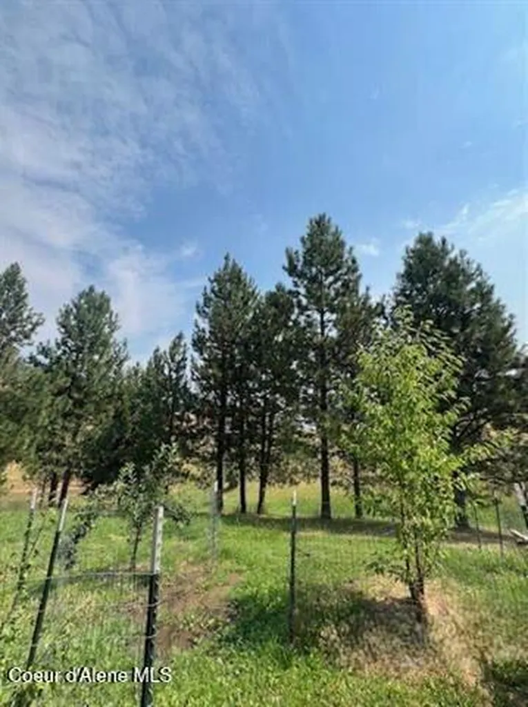 110 Liberty Lane Kamiah ID 83536