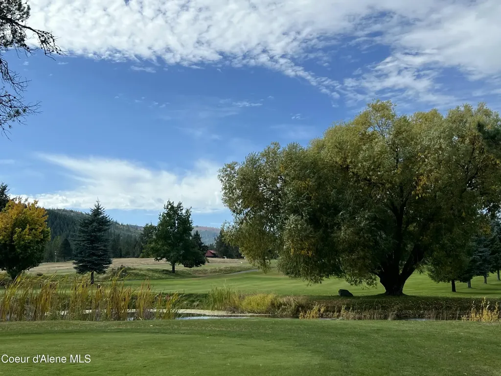50 Bellflower Court Blanchard ID 83804