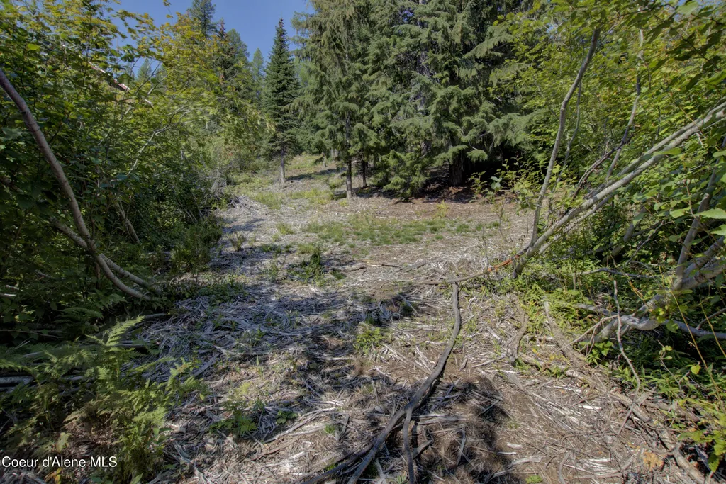 BLK4 Lot4 Ullr Drive Sandpoint ID 83864