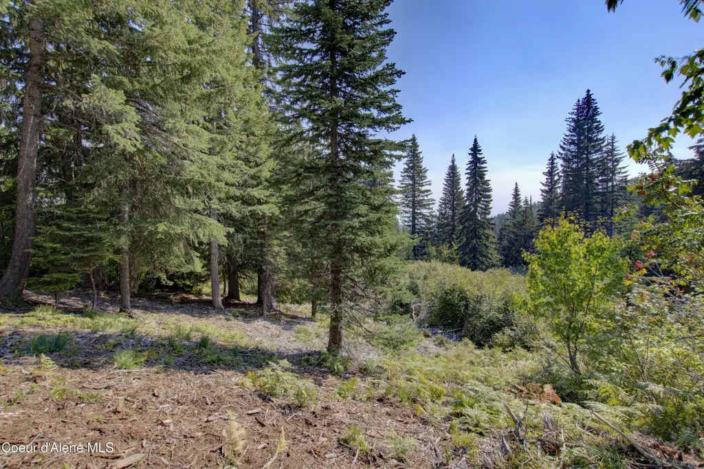 BLK4 Lot4 Ullr Drive Sandpoint ID 83864