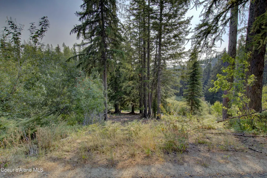 BLK4 Lot4 Ullr Drive Sandpoint ID 83864
