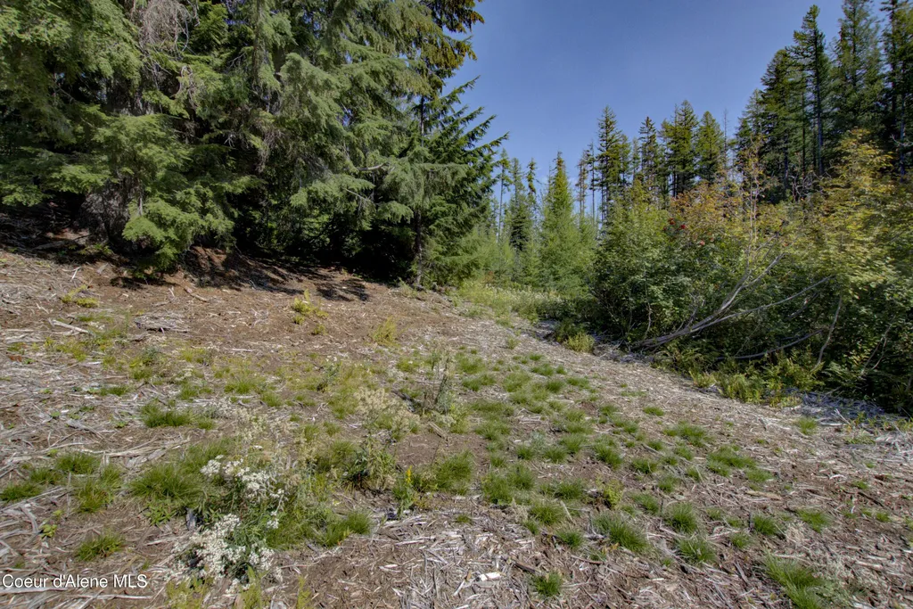 BLK4 Lot4 Ullr Drive Sandpoint ID 83864