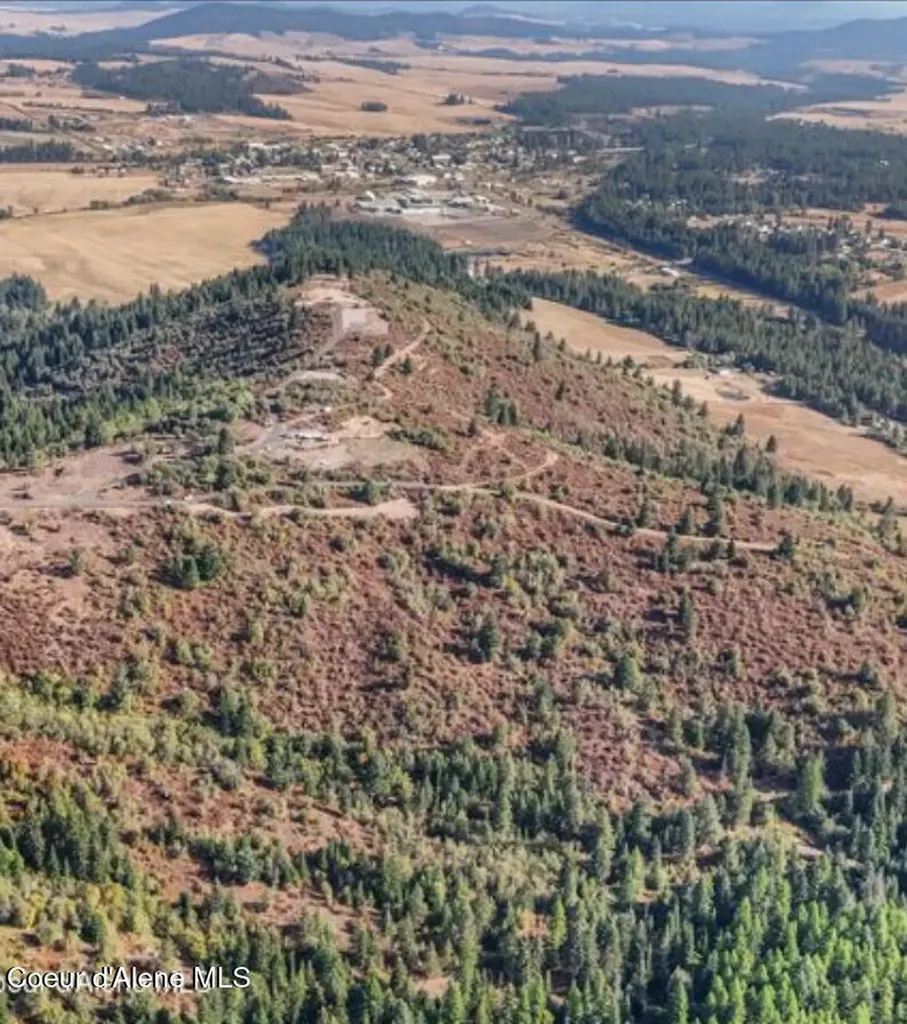 14.75 Acre Treetop Lane Plummer ID 83851