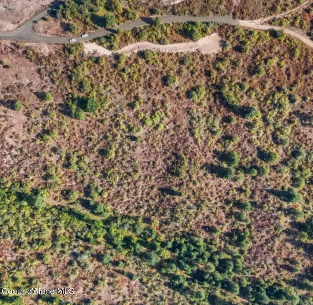 14.75 Acre Treetop Lane Plummer ID 83851