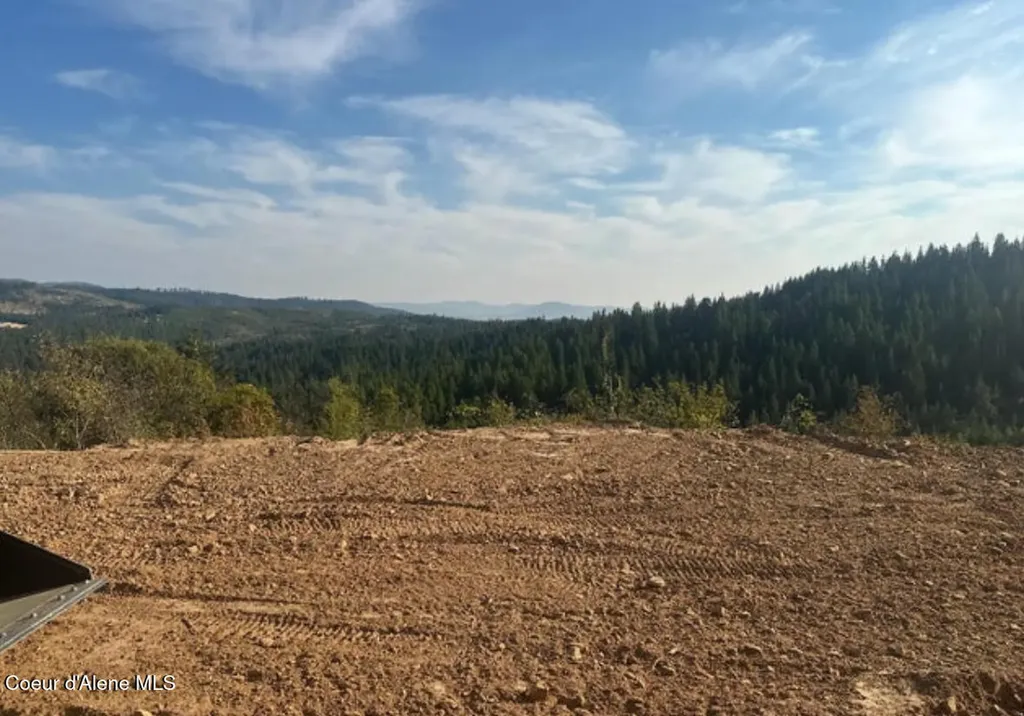 14.75 Acre Treetop Lane Plummer ID 83851