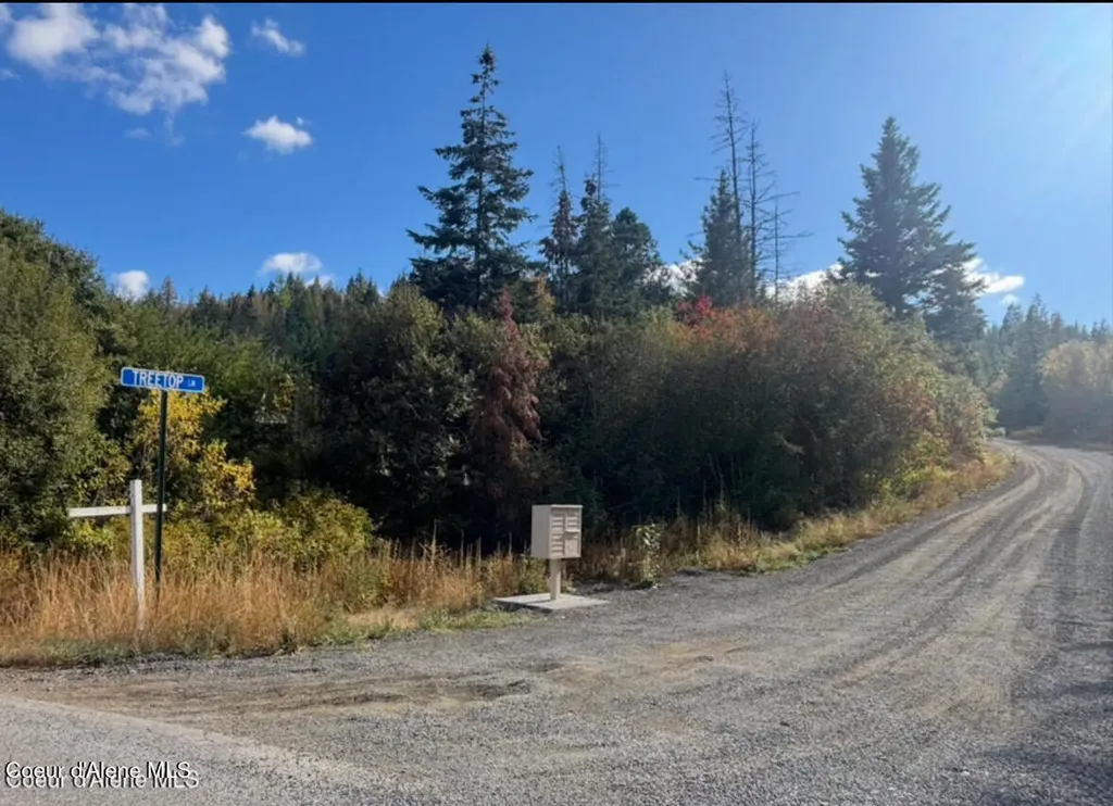 14.75 Acre Treetop Lane Plummer ID 83851