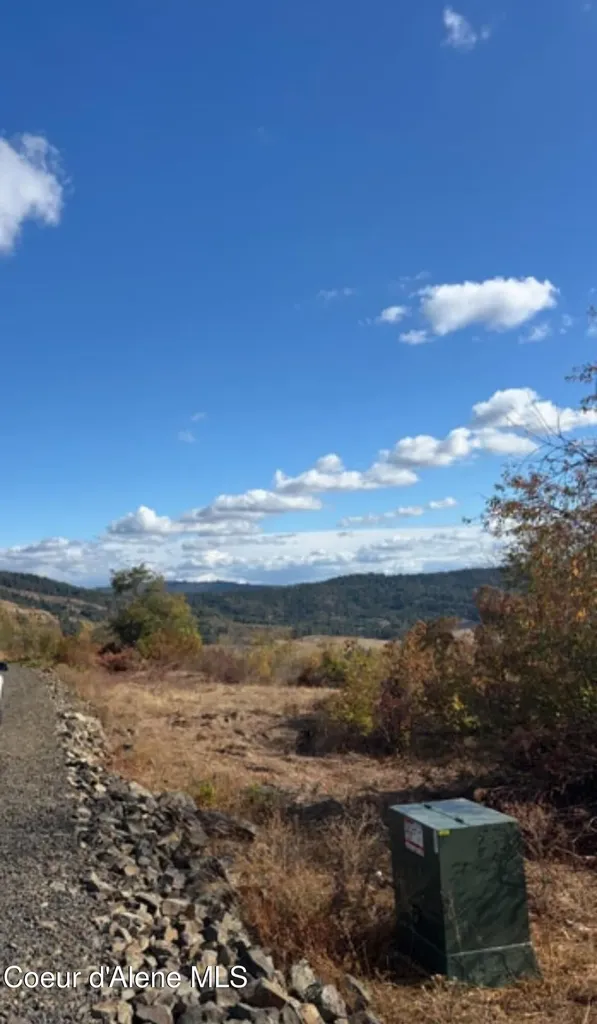 14.75 Acre Treetop Lane Plummer ID 83851