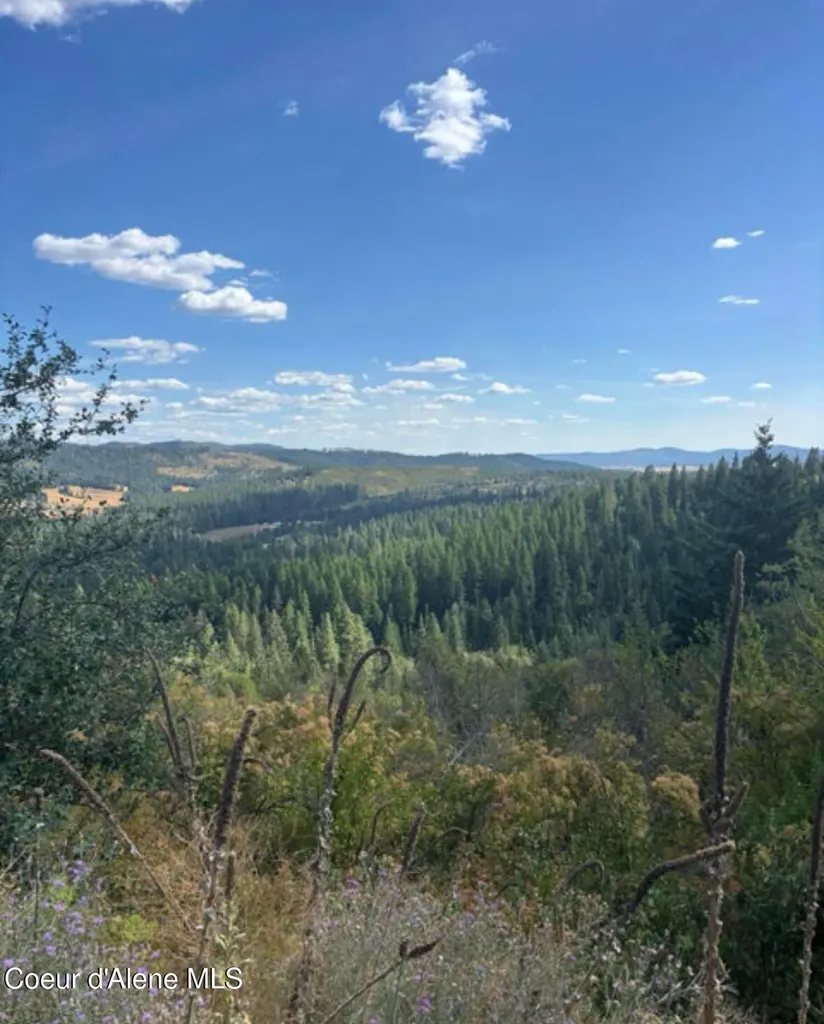 14.75 Acre Treetop Lane Plummer ID 83851