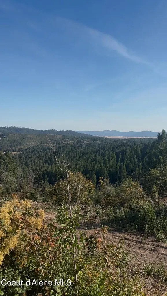 14.75 Acre Treetop Lane Plummer ID 83851