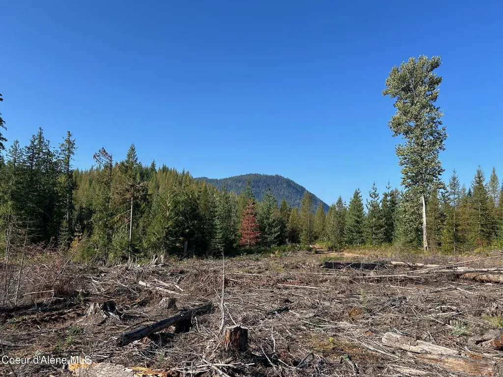 Tract 7 Usfs 2294 Clark Fork ID 83811