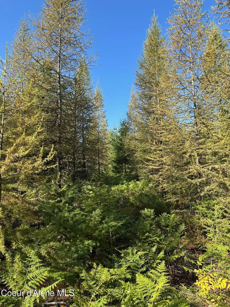 Tract 7 Usfs 2294 Clark Fork ID 83811