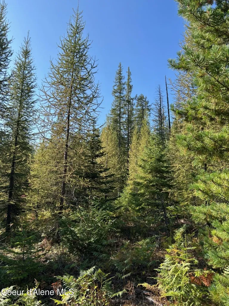 Tract 7 Usfs 2294 Clark Fork ID 83811