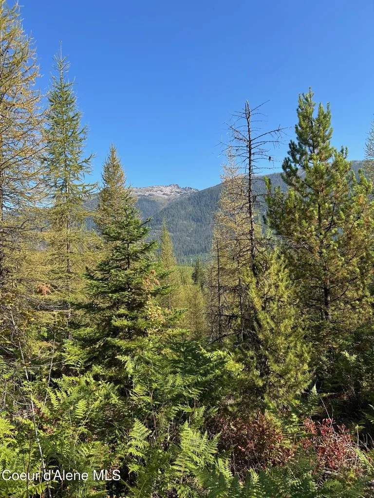 Tract 7 Usfs 2294 Clark Fork ID 83811