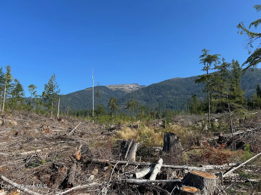 Tract 7 Usfs 2294 Clark Fork ID 83811