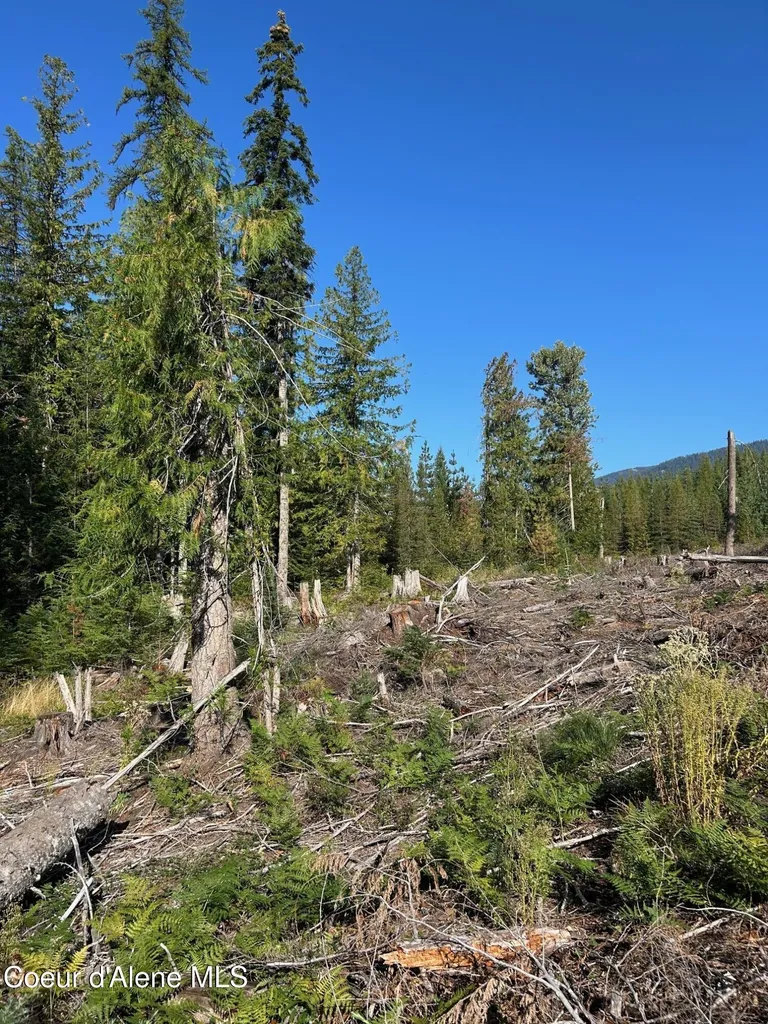 Tract 7 Usfs 2294 Clark Fork ID 83811