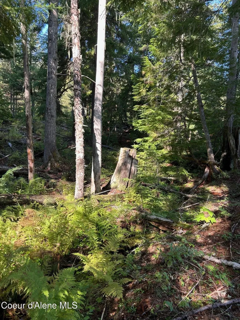 Tract 7 Usfs 2294 Clark Fork ID 83811