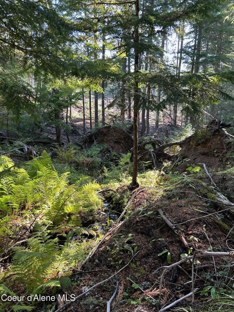Tract 7 Usfs 2294 Clark Fork ID 83811