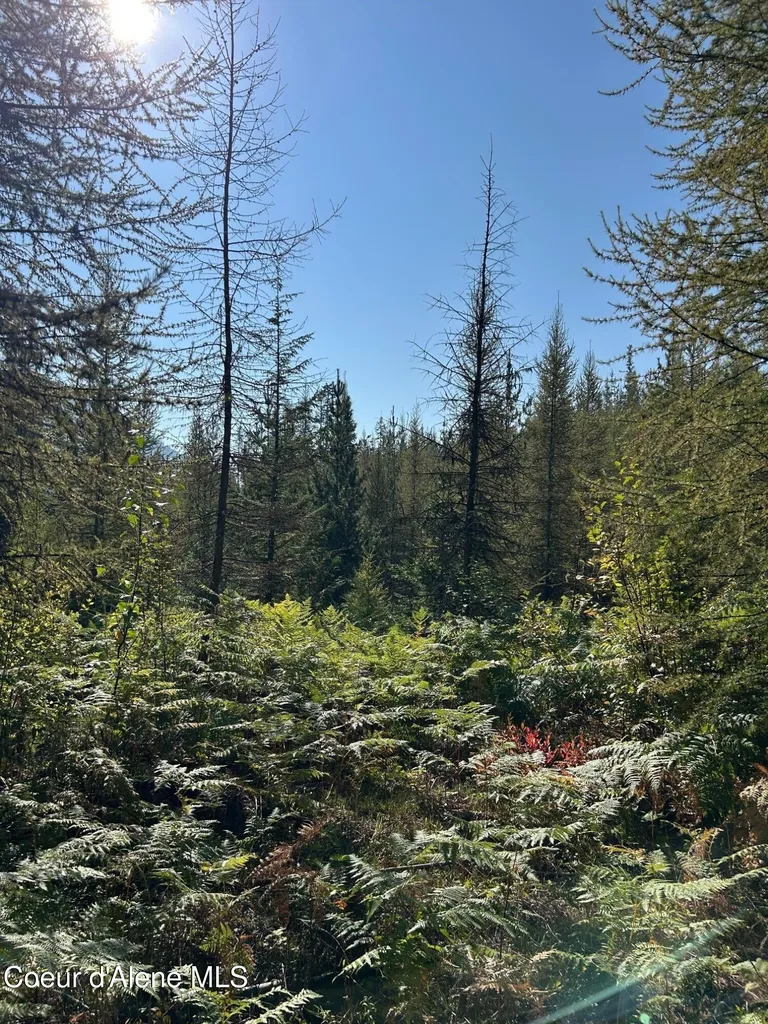 Tract 7 Usfs 2294 Clark Fork ID 83811
