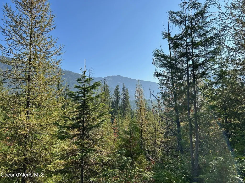 Tract 7 Usfs 2294 Clark Fork ID 83811