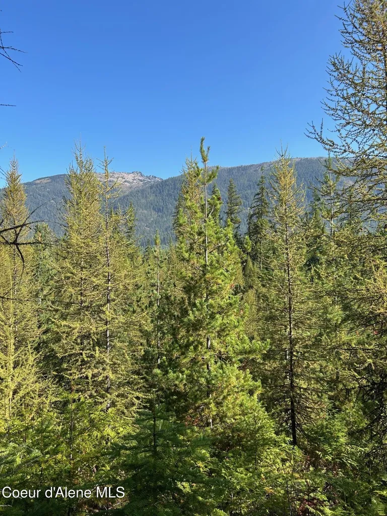 Tract 7 Usfs 2294 Clark Fork ID 83811