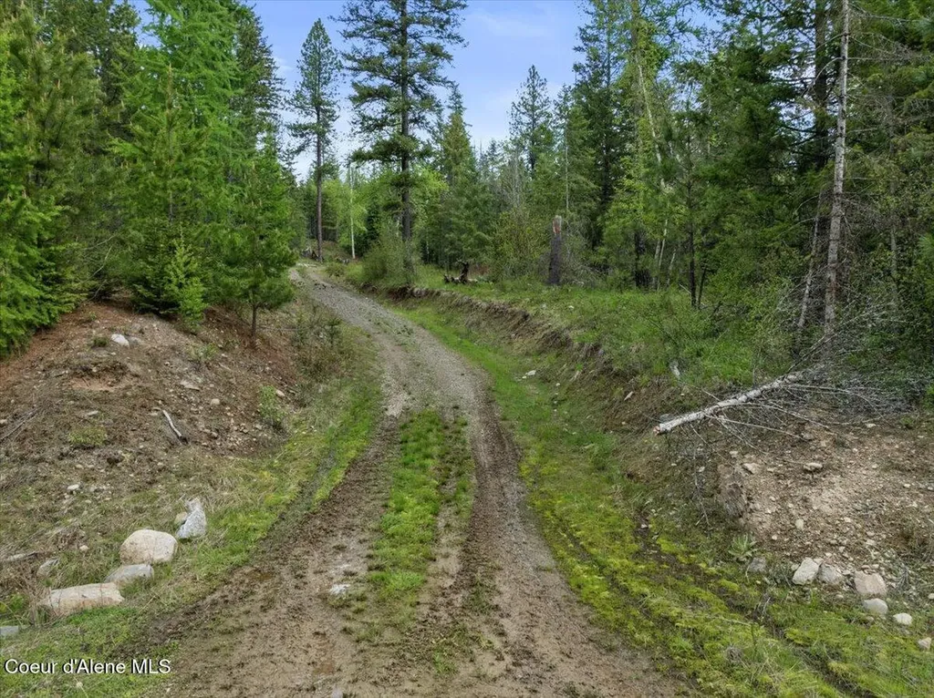Lot 1 Amethyst Lane Cocolalla ID 83813