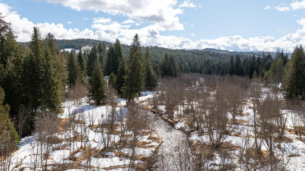 255 Thunder Alley Sandpoint ID 83864