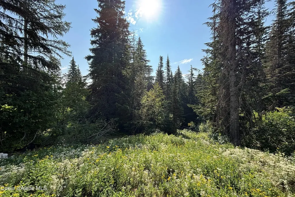 205 Ullr Drive Sandpoint ID 83864