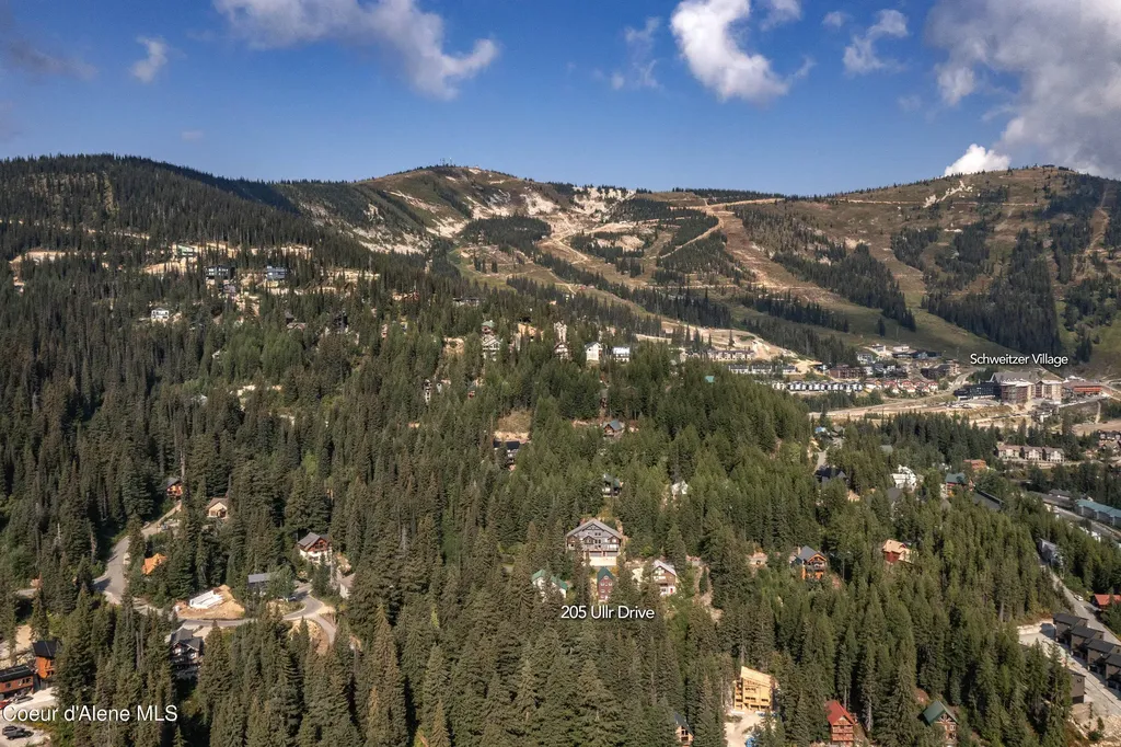 205 Ullr Drive Sandpoint ID 83864