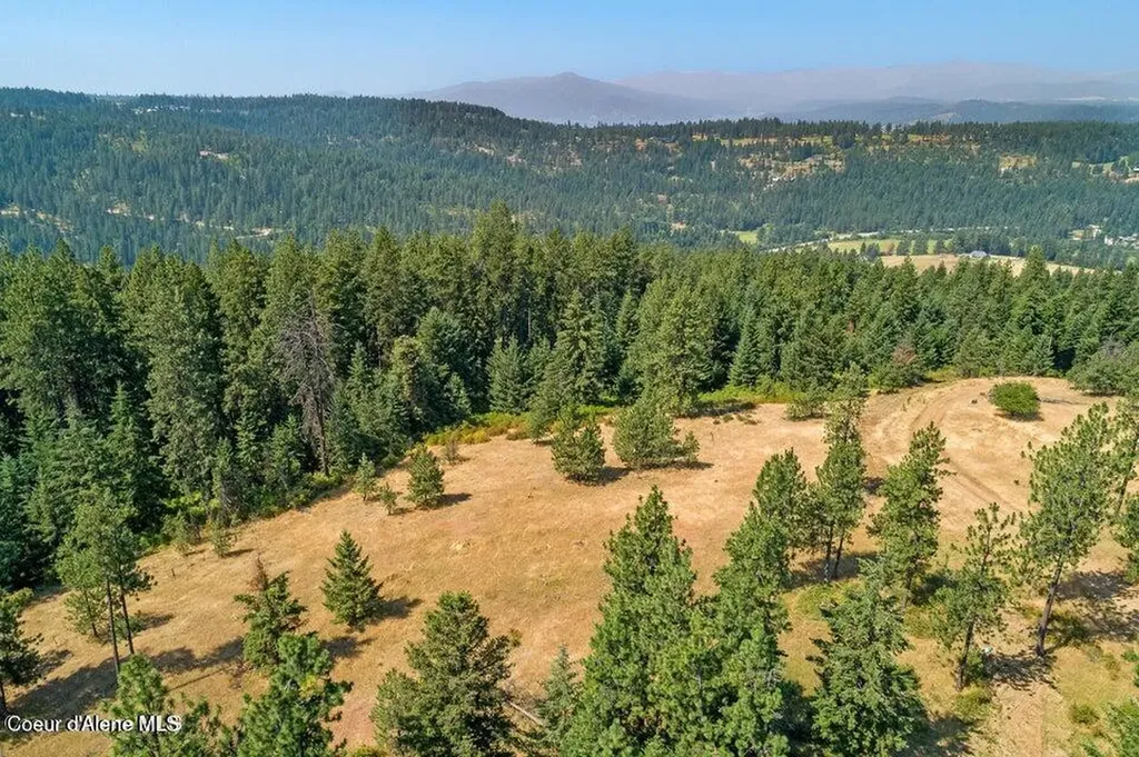 5254 E Mabel Lane Harrison ID 83833