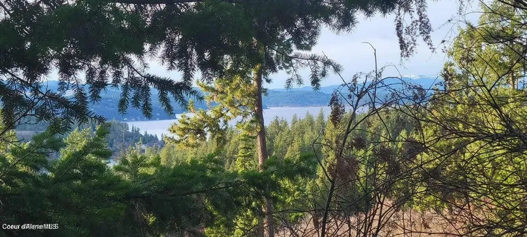 5254 E Mabel Lane Harrison ID 83833