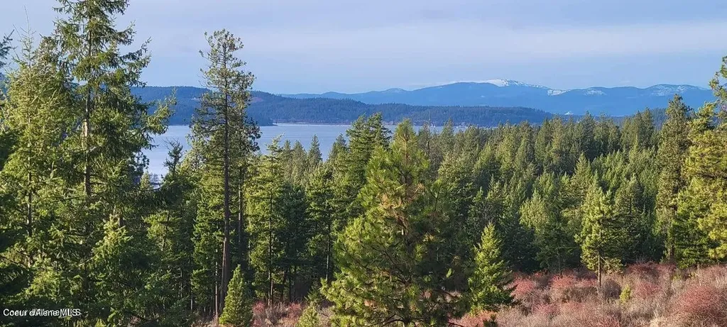 5254 E Mabel Lane Harrison ID 83833