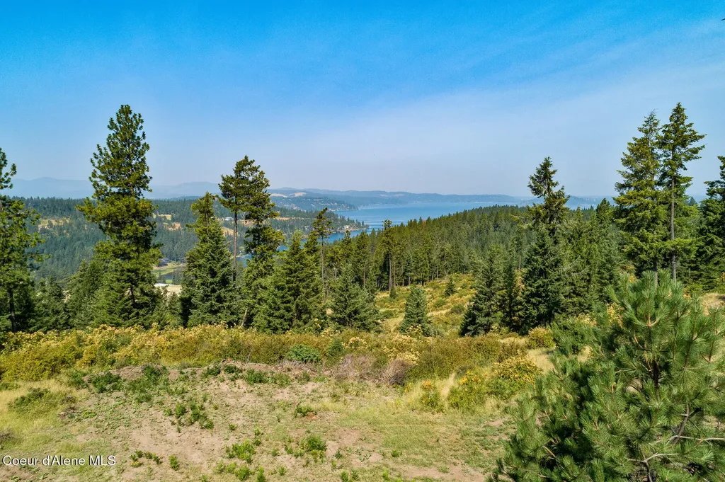 5254 E Mabel Lane Harrison ID 83833