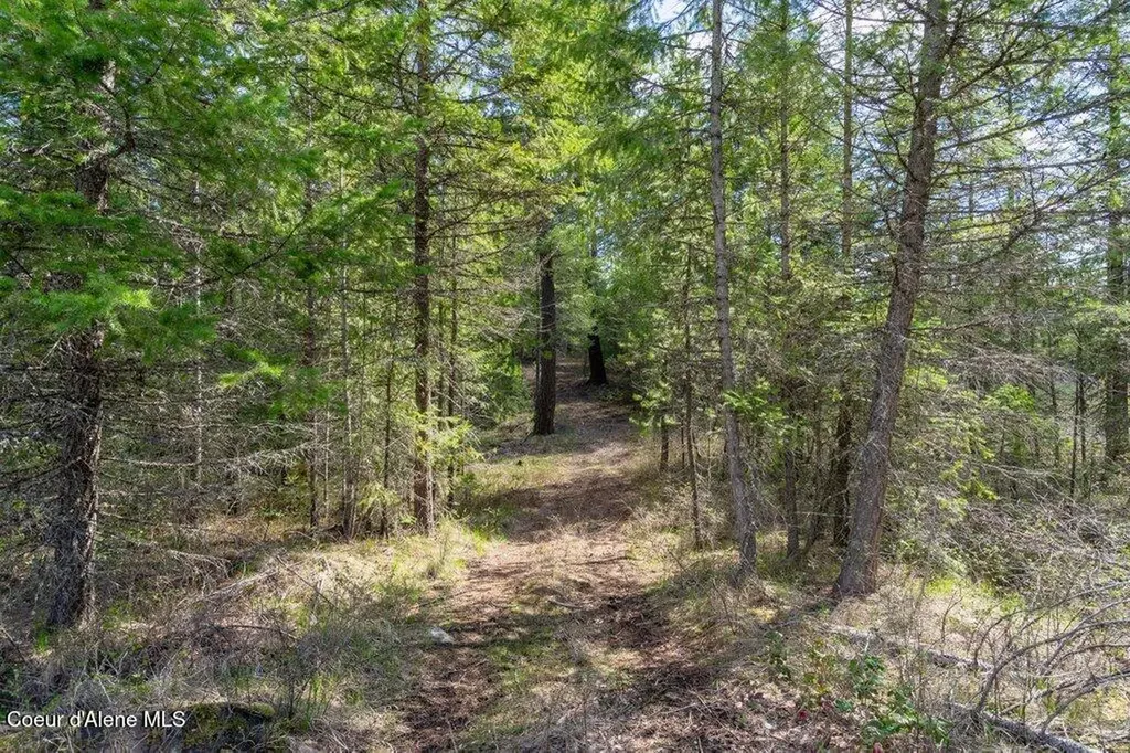 35430 N St Joe Drive Spirit Lake ID 83869