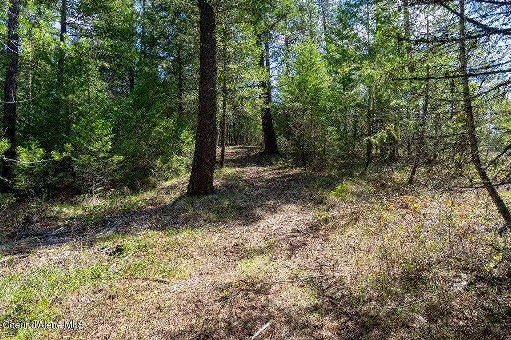 35430 N St Joe Drive Spirit Lake ID 83869