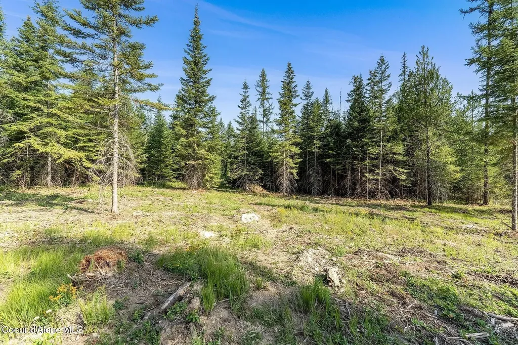 Db Lot 11 Blk 1 Leonard Loop Athol ID 83801