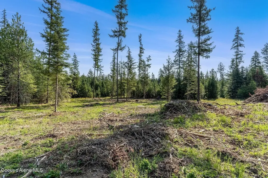 Db Lot 11 Blk 1 Leonard Loop Athol ID 83801