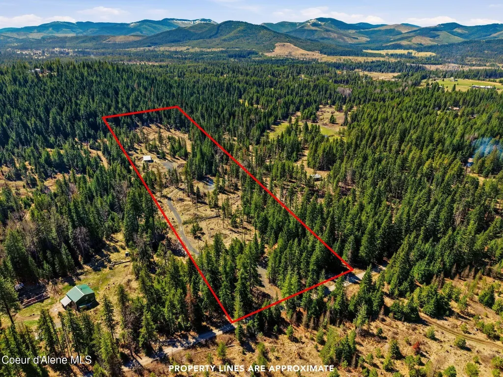 1428 W Elkhorn Meadows Road Fernwood ID 83830