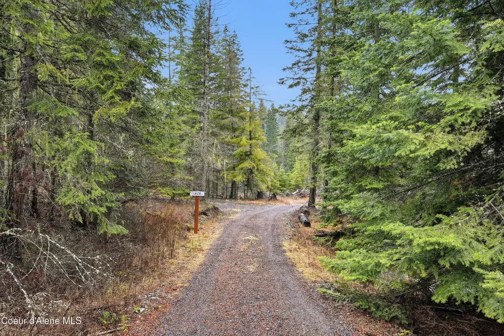 1428 W Elkhorn Meadows Road Fernwood ID 83830